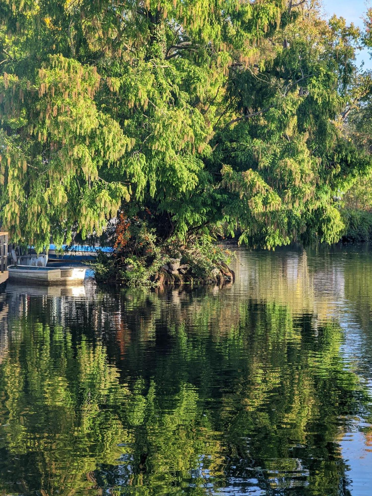 Tulana Taggs - Floating Home On Idyllic Island Hampton Hill Extérieur photo